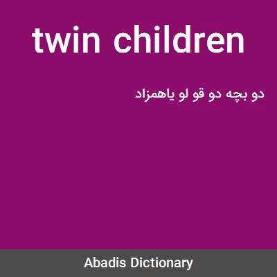 معنی twin children